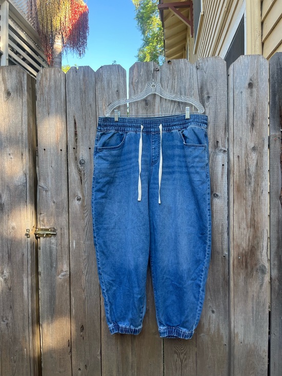 Lane Bryant Denim - Lane Bryant jogger jeans 18S